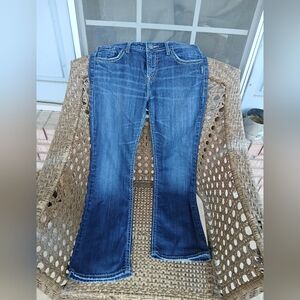 Classic Blue‎ Denim Jeans. Silver. Women.w31/L31